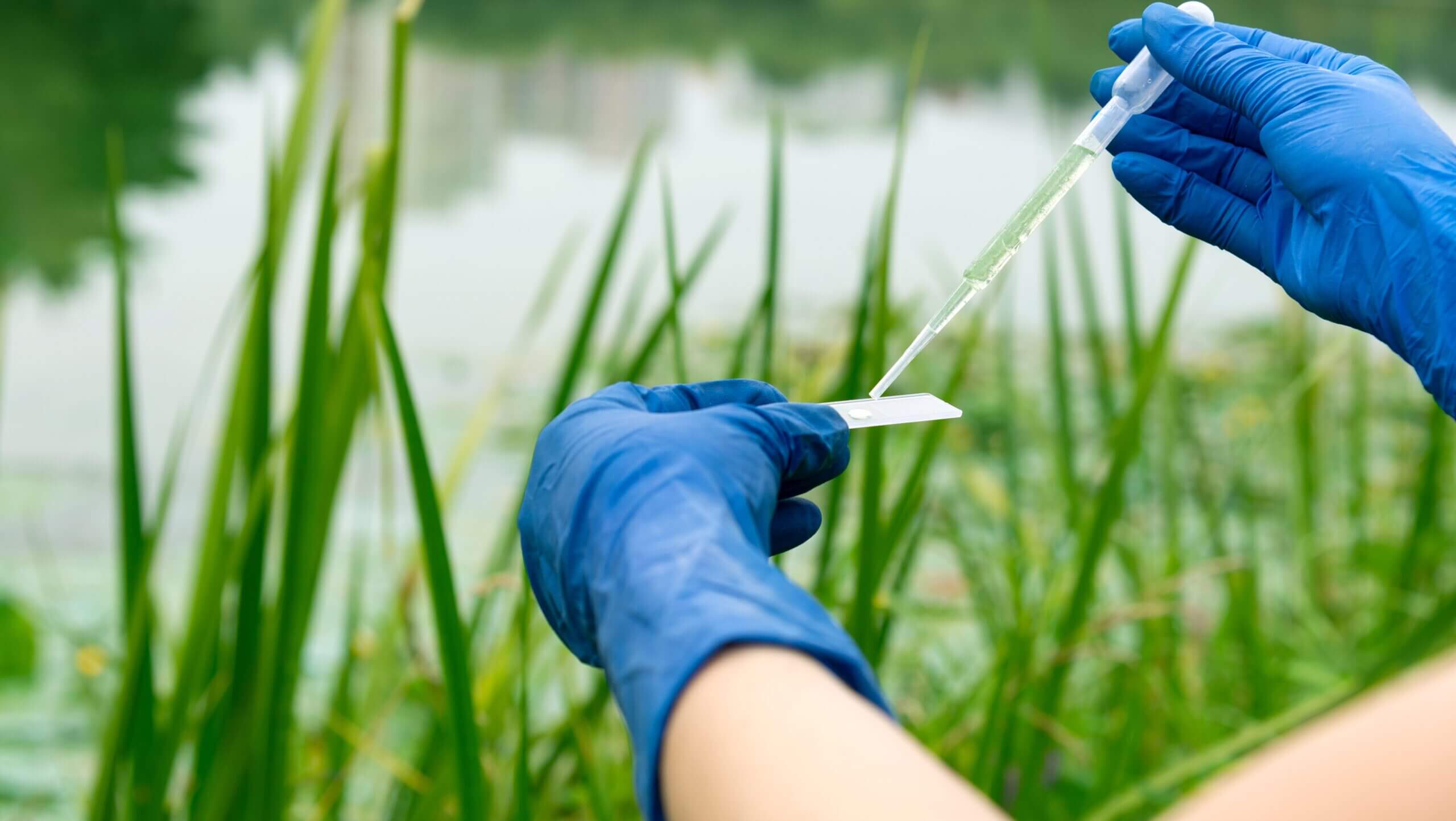 Persona con guantes azules evaluando las características medioambientales de un ecosistema en el nuevo residencial Bosque Central