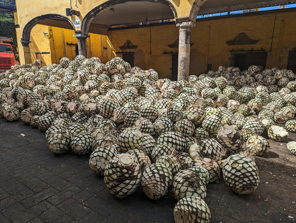 La arquitectura del tequila