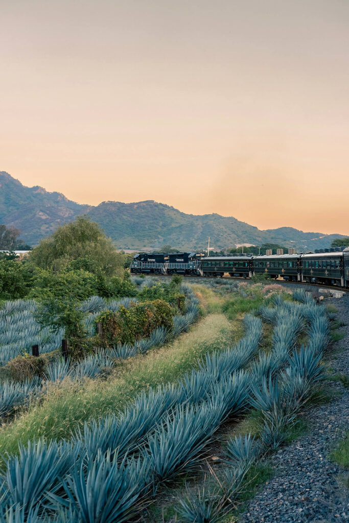 La arquitectura del tequila